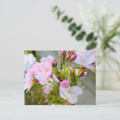 Blüte postkarte (Stehend Vorderseite)