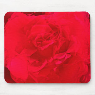 Blüte Rose Rot Mousepad