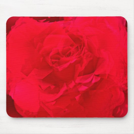 Blüte Rose Rot Mousepad (Vorne)