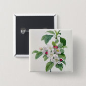 Blüte, von 'Les Choix DES plus Schönheiten Button (Vorne & Hinten)
