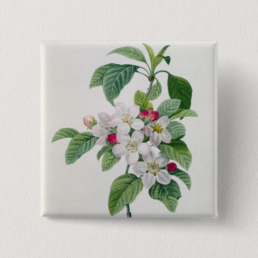 Blüte, von 'Les Choix DES plus Schönheiten Button (Vorderseite)