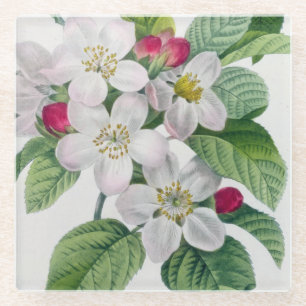 Blüte, von 'Les Choix DES plus Schönheiten Glasuntersetzer