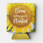 Blüte, wo man gelbe Sonnenblumen gepflanzt hat Dosenkühler (Vorderseite)