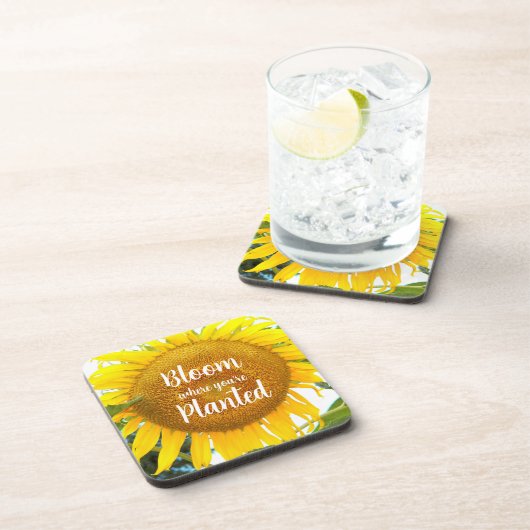 Blüte, wo man gelbe Sonnenblumen gepflanzt hat Getränkeuntersetzer (Rechte Seite)