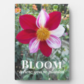 Blüte, wo man Zitat pflanzt Blumenzettel Fotoplatte (Vorderseite)