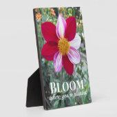 Blüte, wo man Zitat pflanzt Blumenzettel Fotoplatte (Seite)