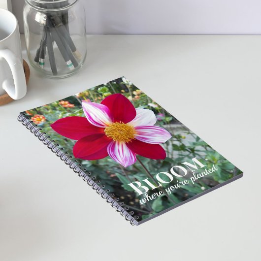 Blüte, wo man Zitat pflanzt Blumenzettel Notizblock