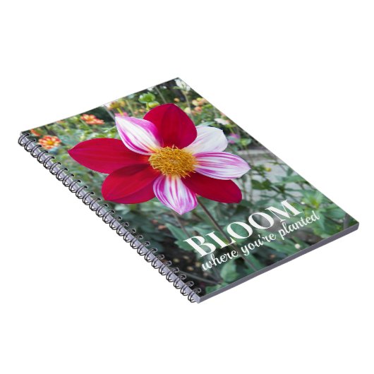 Blüte, wo man Zitat pflanzt Blumenzettel Notizblock (Rechte Seite)