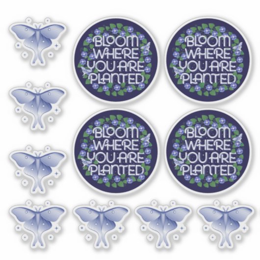 Blüte, wo Sie gepflanzt werden Transparent Vinyl Aufkleber (Vorderseite)