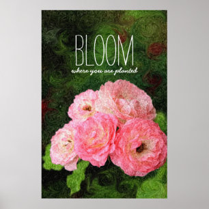 Blüte, wo Sie gepflanzte rosa Rosen-Inspiration Poster