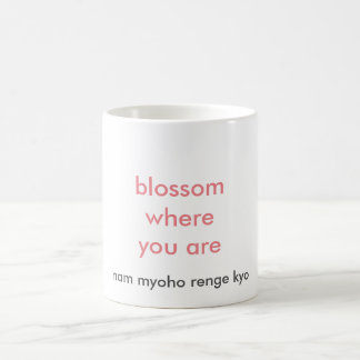 Blüte, wo Sie Tasse sind
