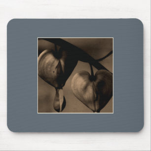 Blutegel-Foto Mousepad