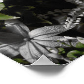 Blutegel und Red String Frog Fountain Print Poster (Ecke)