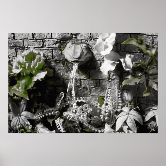 Blutegel und Red String Frog Fountain Print Poster (Vorne)