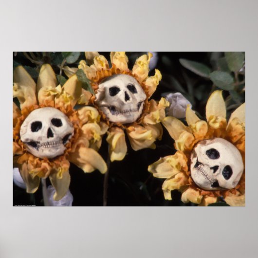 Blutegel und rote Streichelblume Poster (Vorne)