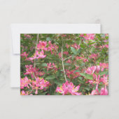 Blüten (Vorderseite)