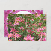 Blüten (Vorne/Hinten)