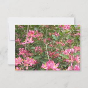 Blüten