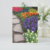 Blüten (Stehend Vorderseite)