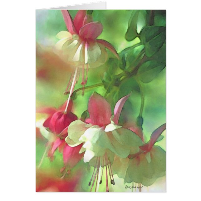 Blüten (Vorne)