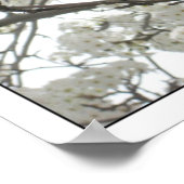 Blüten1 Poster (Ecke)
