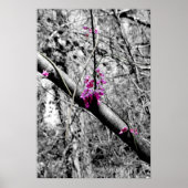 Blüten 2 poster (Vorne)