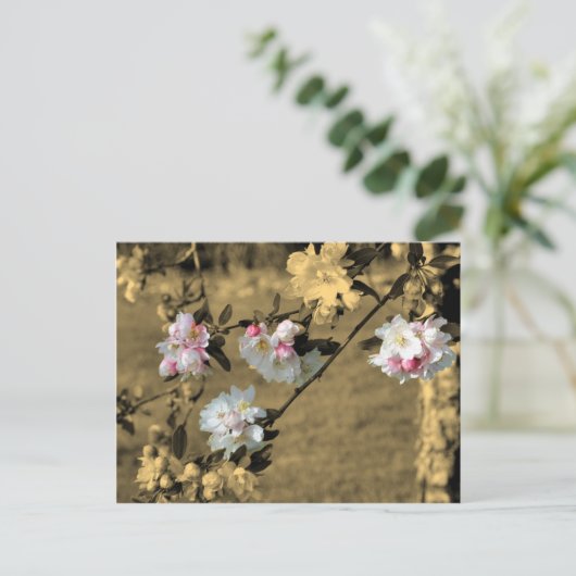 Blüten auf Sepia-Blumen-Postkarte Postkarte (Stehend Vorderseite)