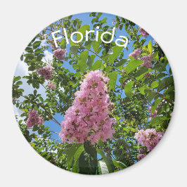 Blüten aus Florida Magnet