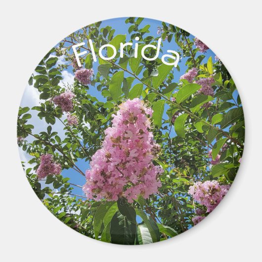 Blüten aus Florida Magnet (Vorne)
