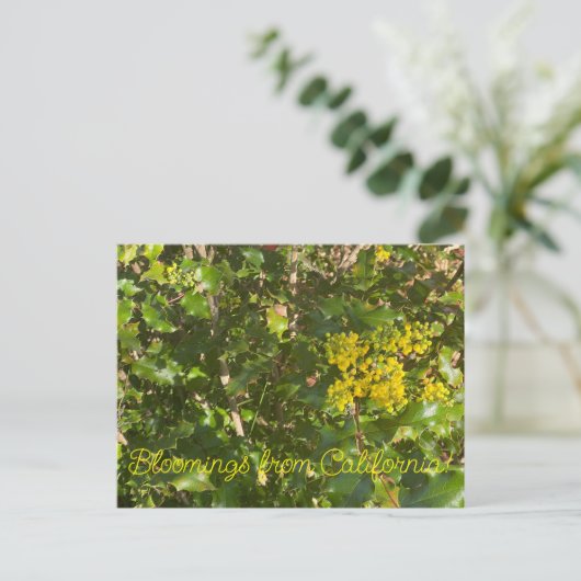 Blüten aus Kalifornien: Oregon Trauben Postkarte (Stehend Vorderseite)