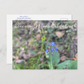 Blüten aus Kalifornien: Pazifik-Hund-Zunge Postkarte (Vorne/Hinten)