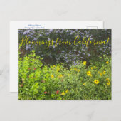 Blüten aus Kalifornien Postkarte (Vorne/Hinten)