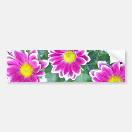Blüten Aziza Garden Whimsy Autoaufkleber (Vorne)