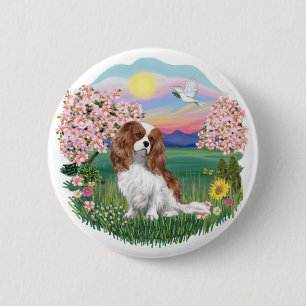 Blüten - Blenheim Cavalier Button