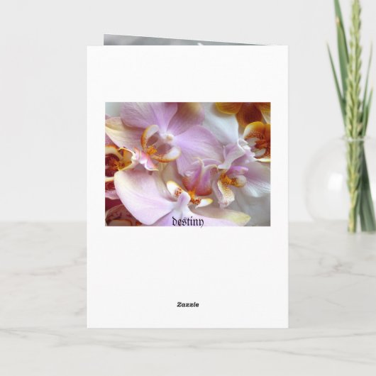 Blüten Blume Orchideen Frieden Liebe Schicksal Dankeskarte (Rückseite)