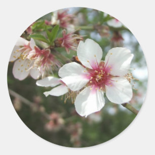 Blüten-Blumen-Aufkleber Runder Aufkleber