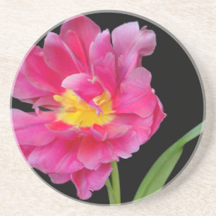 Blüten Blumen Party Dusche Herzlichen Glückwunsch Getränkeuntersetzer