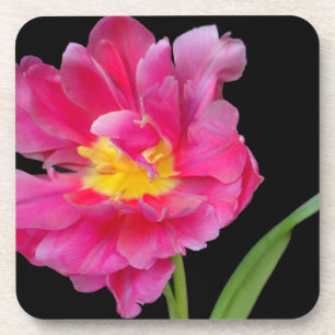 Blüten Blumen Party Dusche Herzlichen Glückwunsch Untersetzer