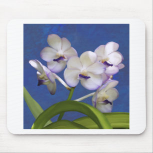 Blüten-BlumenPflanzen-bunte Fotografie-Kunst Mousepad