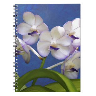 Blüten-BlumenPflanzen-bunte Fotografie-Kunst Notizblock