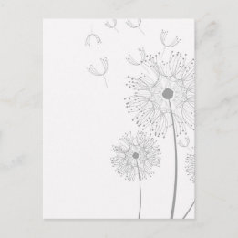 Blüten Dandelion Blume Frieden Liebe Schicksal Postkarte