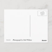 Blüten der Georgetown University, Washington, DC Postkarte (Rückseite)