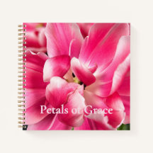 Blüten der Gnade | Rosafarbene Tulpen-Träume Flora