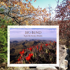 Blüten des Bright Claret Cup, Big Bend NP, TX Postkarte