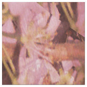 Blüten des Frühlings...... Stoff (Nahaufnahme)