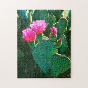 Blüten des Kaktus Beavertail Puzzle