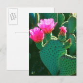 Blüten des Opuntien-Kaktus Postkarte (Vorne/Hinten)