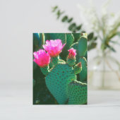 Blüten des Opuntien-Kaktus Postkarte (Stehend Vorderseite)