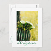 Blüten eines Saguaro Postkarte (Vorne/Hinten)