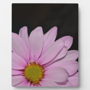 Blüten Gänseblümchen Blumen Frieden Liebe Natur Sc Fotoplatte